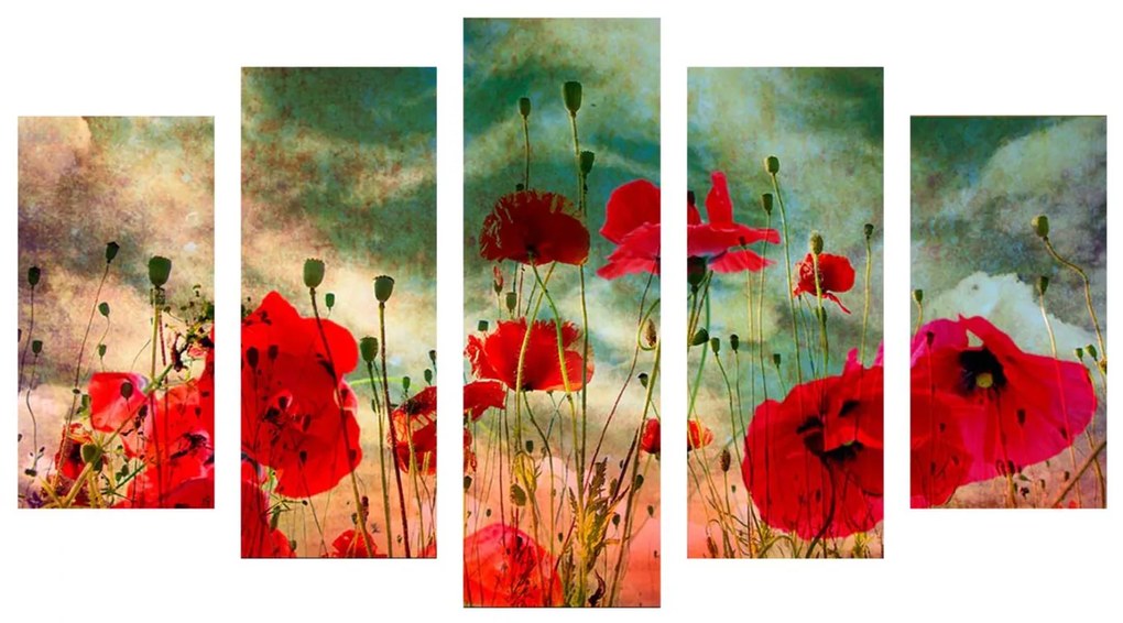 ΠΙΝΑΚΑΣ ΠΕΝΤΑΠΤΥΧΟ MDF POPPY FIELD  100X0,3X60 εκ.