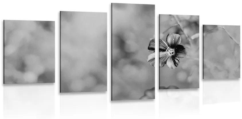 5 μέρη εικόνα λουλούδια σε μαύρο & άσπρο - 100x50