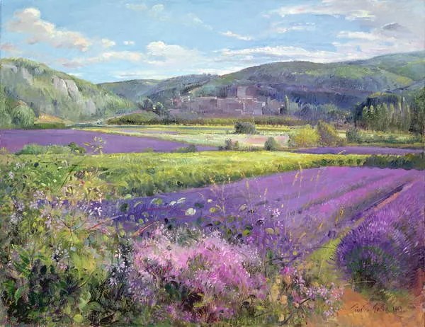 Αναπαραγωγή Lavender Fields in Old Provence, Timothy Easton