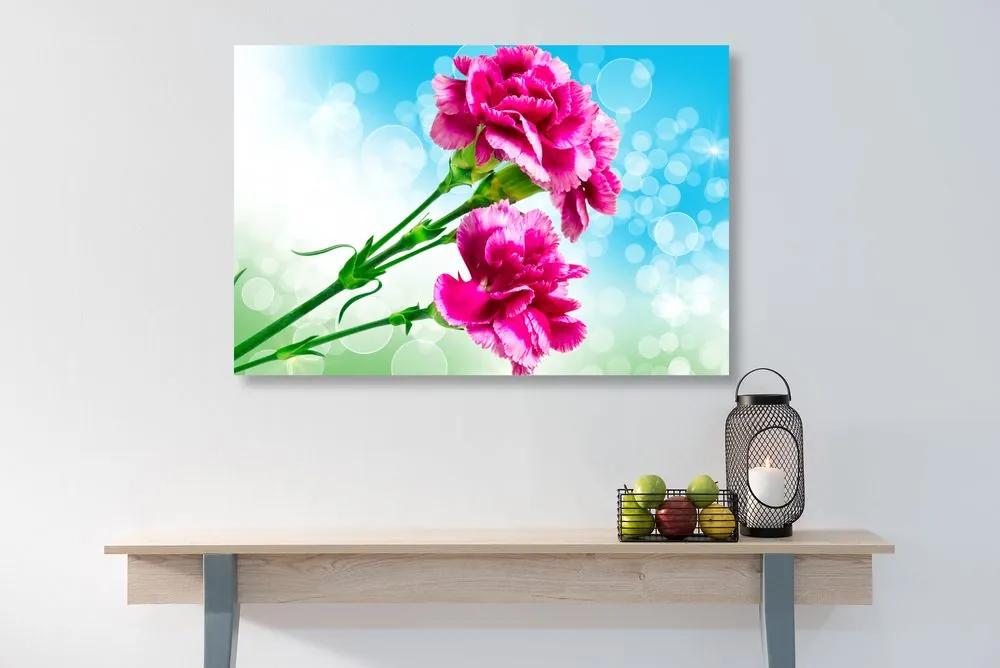 Εικόνα λουλούδι γαρύφαλλο - 120x80