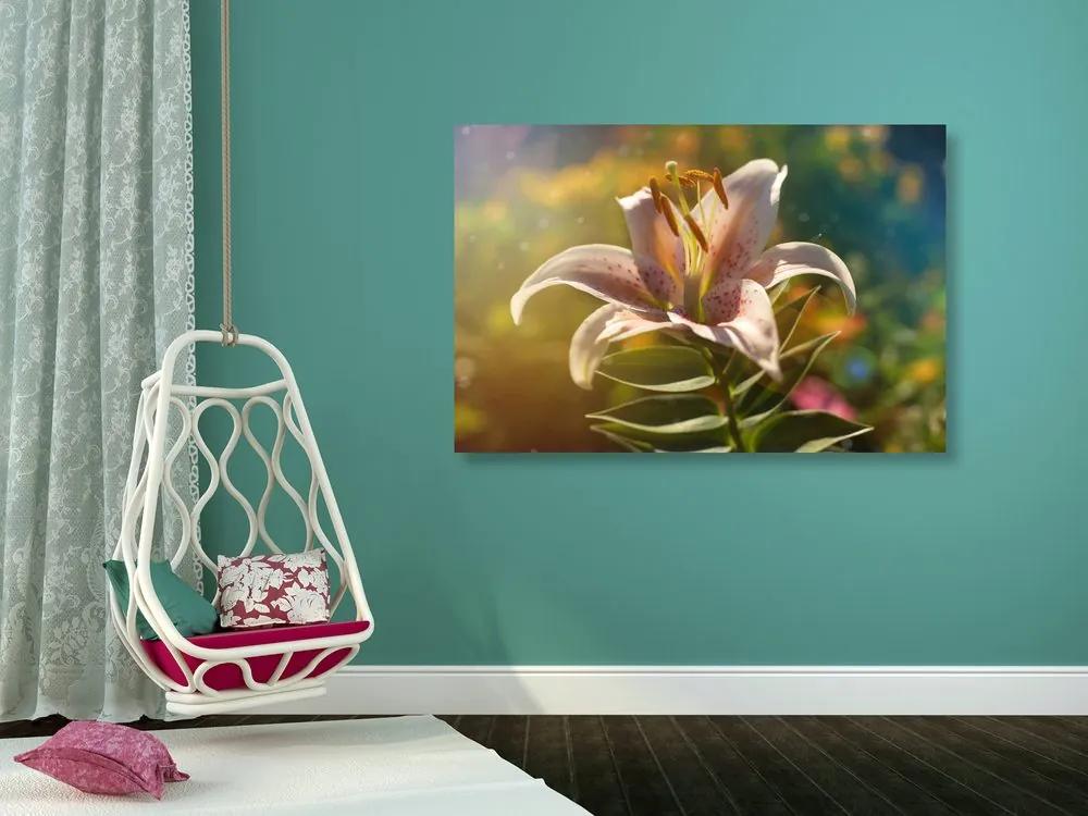 Εικόνα όμορφο λουλούδι με ρετρό χροιά - 120x80