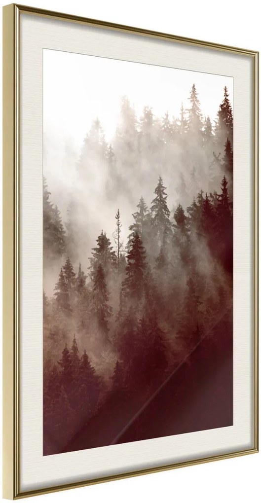 Αφίσα - Forest Fog - 20x30 - Χρυσό - Με πασπαρτού