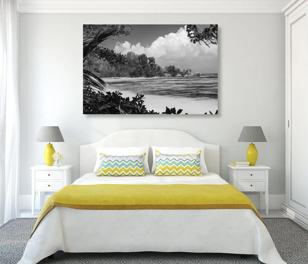 Εικόνα της όμορφης παραλίας στο νησί La Digue σε μαύρο & άσπρο - 120x80