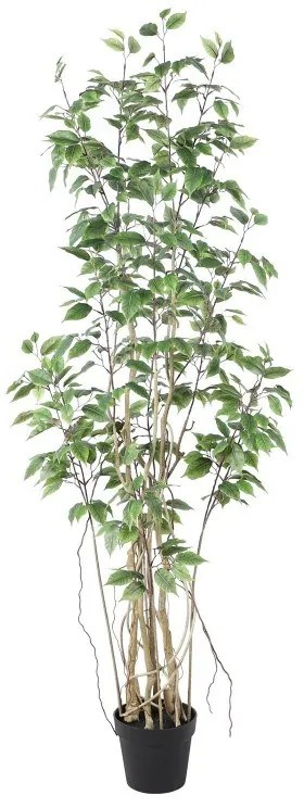 Supergreens Τεχνητό Δέντρο Φίκος "Ginseng" Πράσινο 170 εκ.
