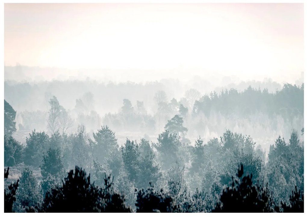 Φωτοταπετσαρία - Winter Forest 100x70