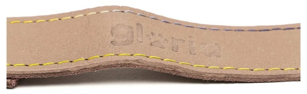 Λουρί Σκύλου Gloria Oasis 2.1 x 100 cm Λευκό