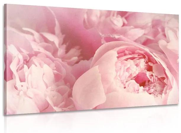 Εικόνα από πέταλα λουλουδιών - 60x40