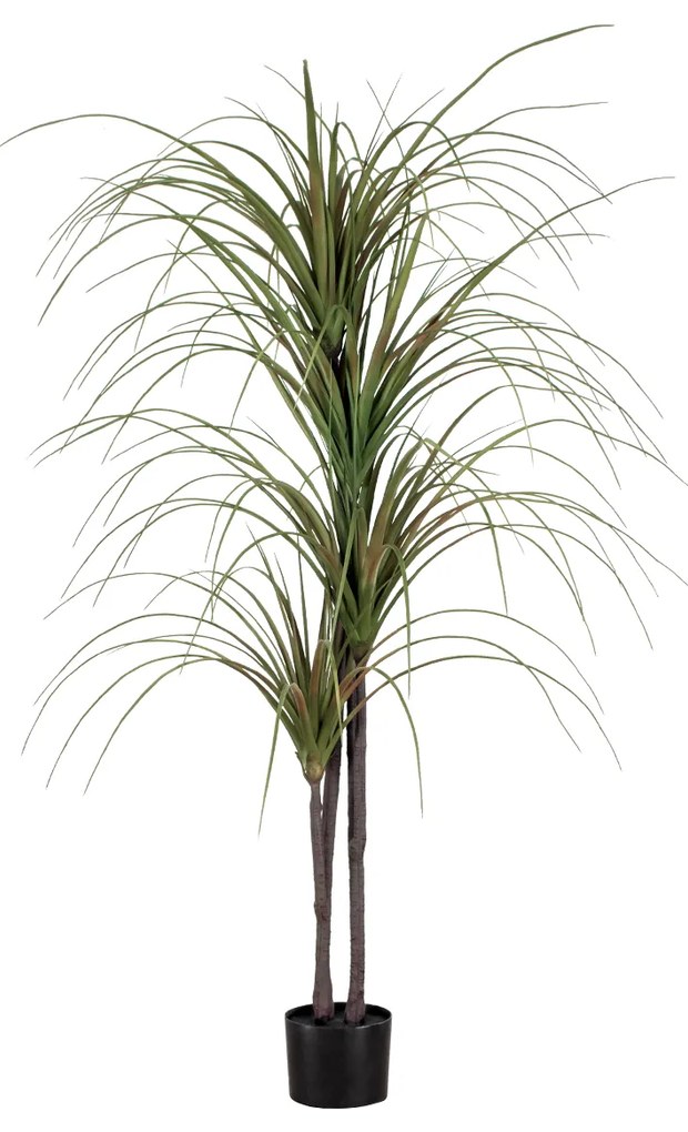 GloboStar® Artificial Garden DRAGON BLOOD TREE 20015 Τεχνητό Διακοσμητικό Φυτό Δράκαινα Υ150cm