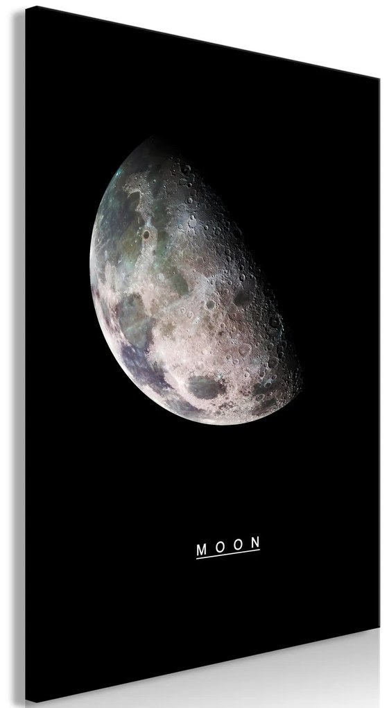 Πίνακας - Moon (1 Part) Vertical - 60x90