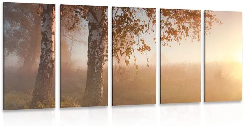 Εικόνα 5 μερών ομιχλώδες φθινοπωρινό δάσος - 100x50