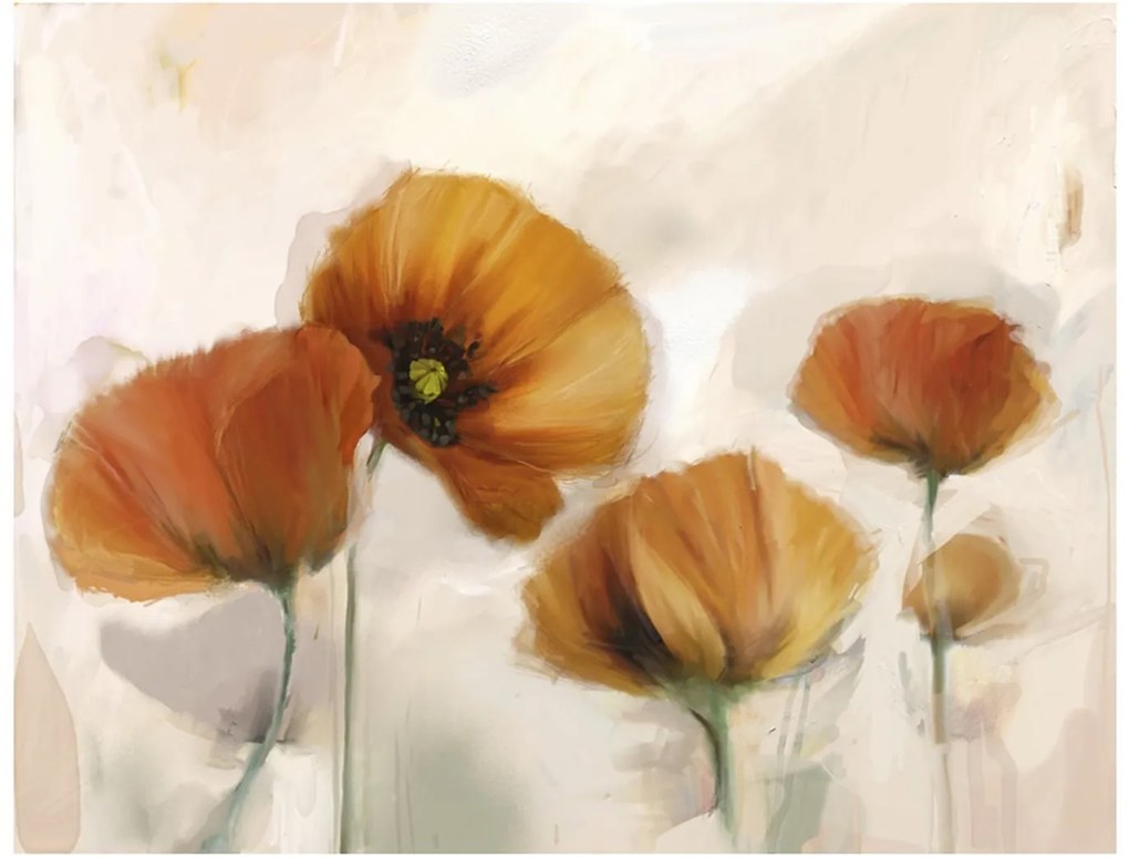 Φωτοταπετσαρία - Poppies - vintage 350x270