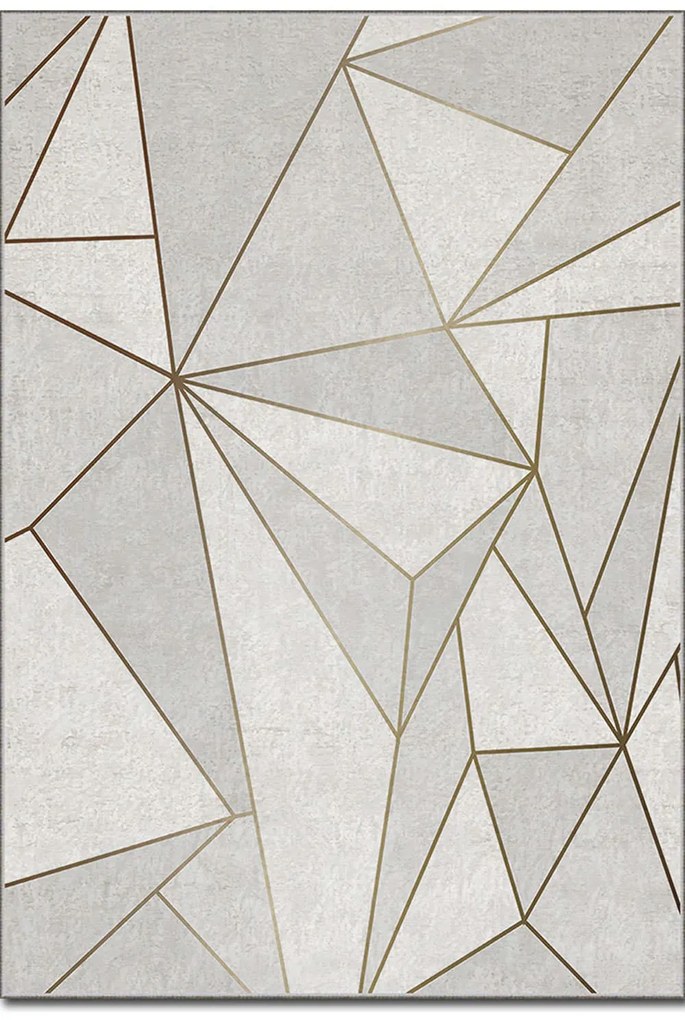 Χαλί Asr Crpt-106 288NGR2210 Silver-Gold Conceptum Hypnose 120X180cm
