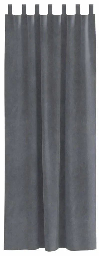 vidaXL Κουρτίνες με κουρτίνες 2 pcs Ανοιχτό γκρι 140 x 225 cm Βελούδο