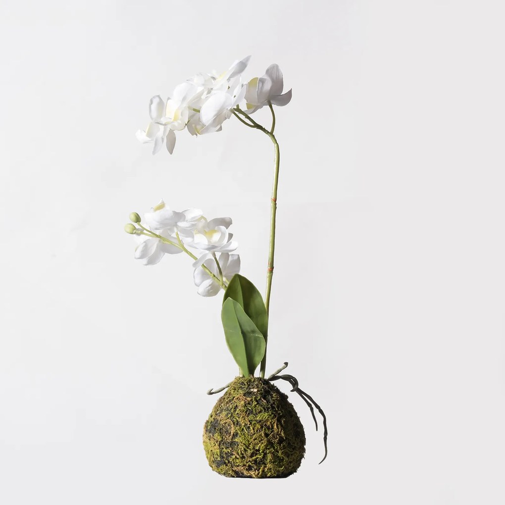 Supergreens Τεχνητό Φυτό Ορχιδέα Phalaenopsis Real Touch Λευκή με Βάση Moss 40 εκ. - 6070-6