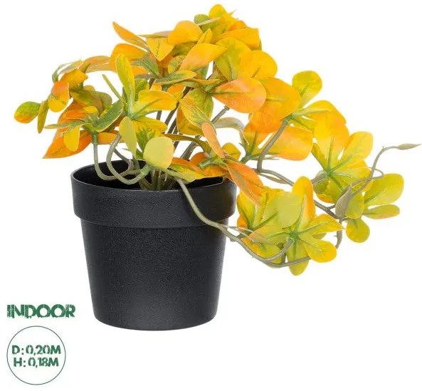 Artificial Garden SCHEFFLERA MIX PLANT 20955 Διακοσμητικό Φυτό Σεφλέρα Φ20 x Υ18cm Globostar 20955