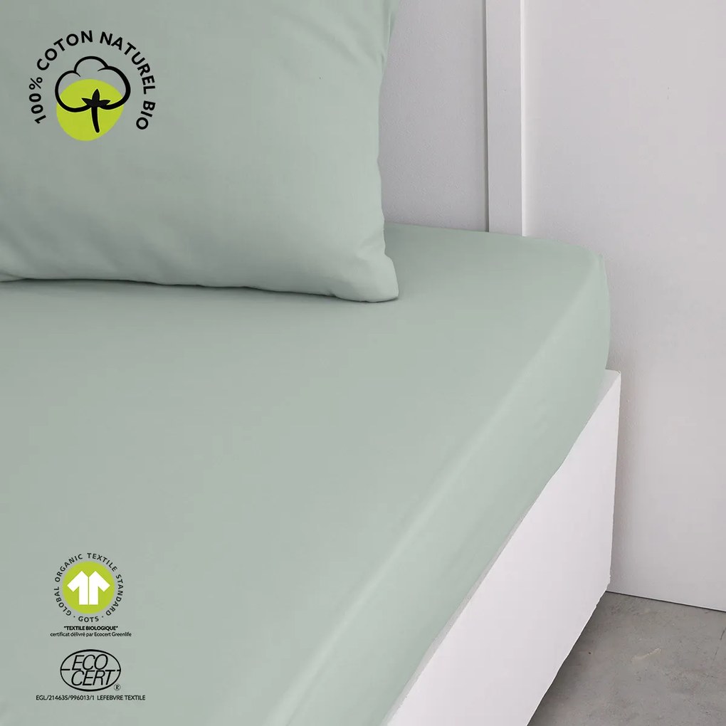 Σεντόνια με λάστιχο Today  DH 160/200+30 Coton TODAY Organic Celadon