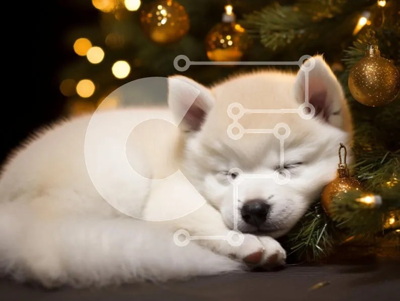 Intra Συλλεκτικό Ξύλινο Παζλ Plywood  4mm - Sleeping Puppy δίπλα στο χριστουγεννιάτικο δέντρο Σε Ξύλινο Κουτί - Διαστάσεις: 10x10 cm – 25 κομμάτια