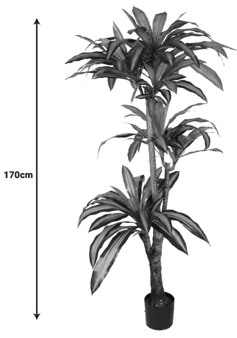 Διακοσμητικό φυτό Dracaena I σε γλάστρα Inart  πράσινο pp Υ170εκ