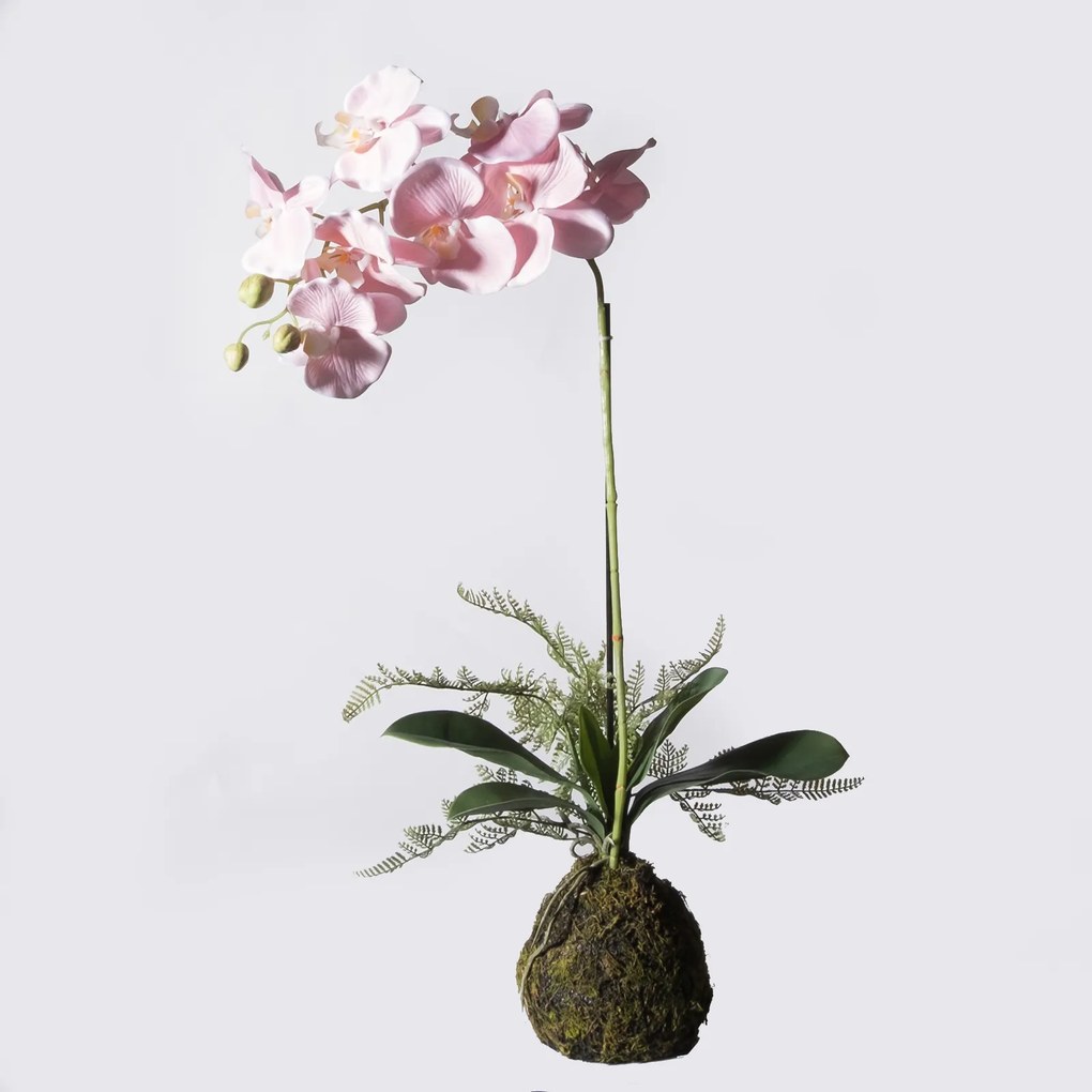 Supergreens Τεχνητό Φυτό Ορχιδέα Phalaenopsis Real Touch Ροζ με Βάση Moss 60 εκ. - 0170-6 - 0170-6