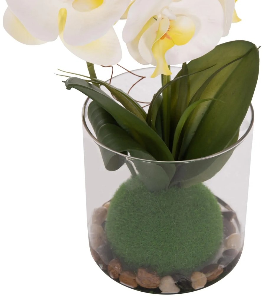 Διακοσμητικό Συνθετικό Φυτό Λουλούδι PHALAENOPSIS C4738 σε Γυάλινο Βάζο 12x24x30Υεκ 12x24x30 εκ.