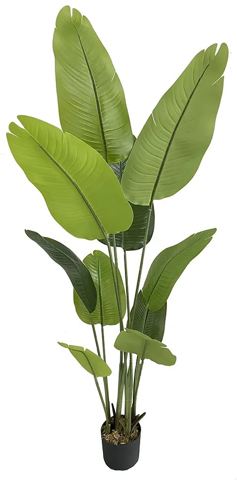 BANANA ΤΕΧΝΗΤΟ ΦΥΤΟ ΣΕ ΓΛΑΣΤΡΑ PEVA ΠΡΑΣΙΝΟ H180cm - 032207