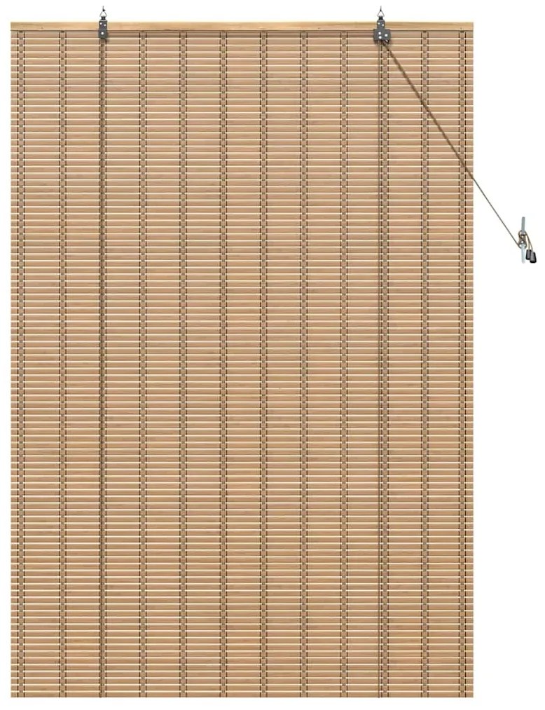 vidaXL Ρόλερ με κουρτίνες Ανοιχτό καφέ 110 x 160 cm Μπαμπού
