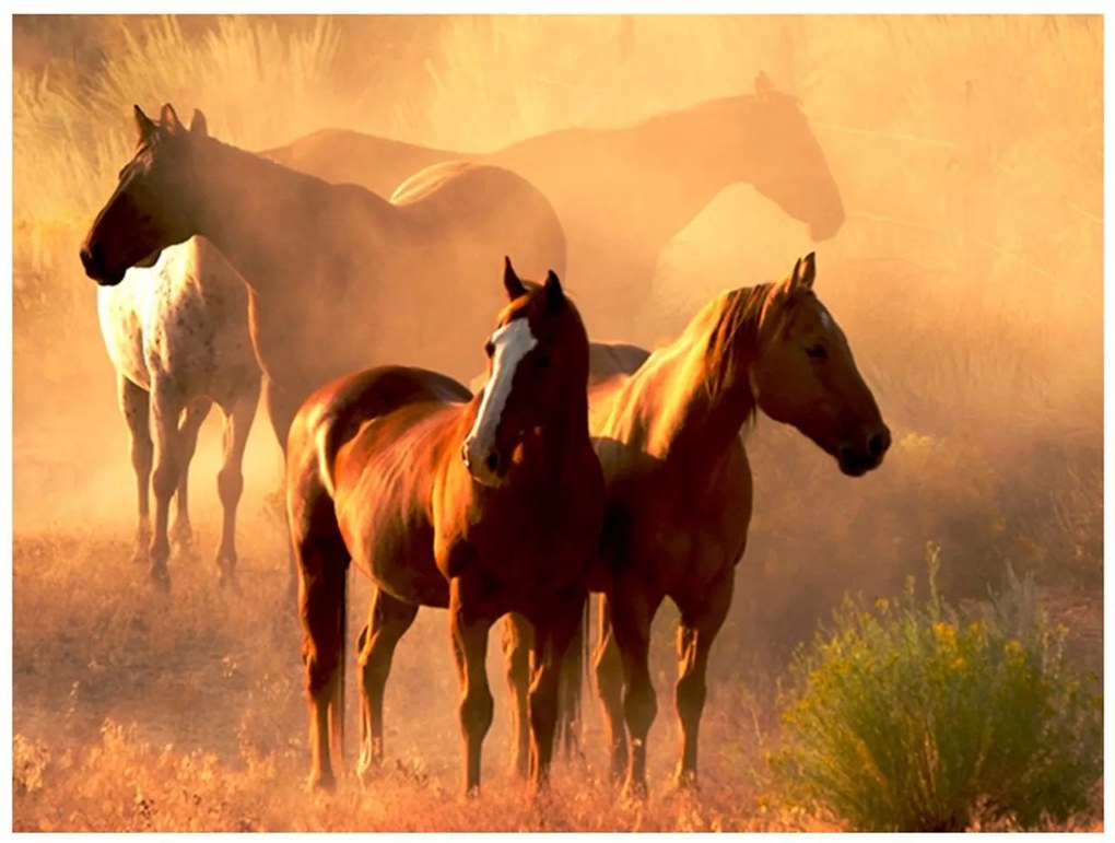 Φωτοταπετσαρία - Wild horses of the steppe 200x154