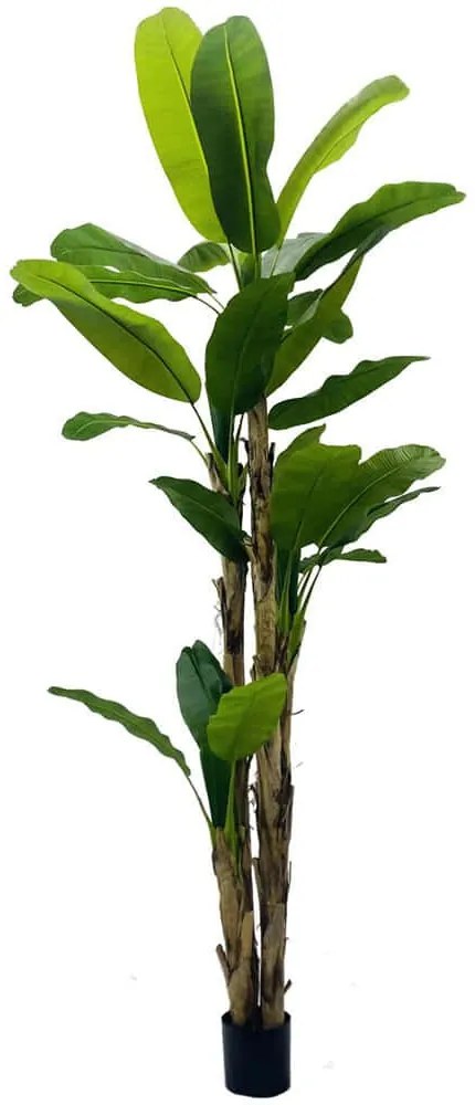 Τεχνητό Δέντρο Μπανάνα 6690-6 180cm Green Supergreens Ξύλο