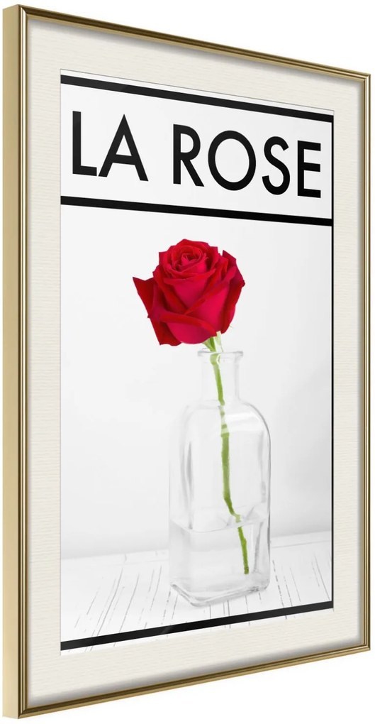 Αφίσα - Rose in the Vase - 30x45 - Χρυσό - Με πασπαρτού