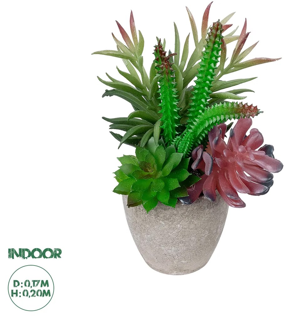 Artificial Garden SUCCULENT VARIUS PLANT POTTED 21039 Διακοσμητικό Φυτό Μίξ Μ17 x Υ20cm