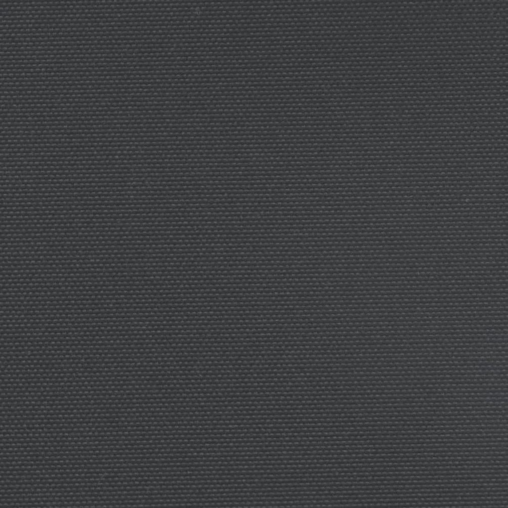 Σκίαστρο Πλαϊνό Συρόμενο Μαύρο 100 x 300 εκ. - Μαύρο