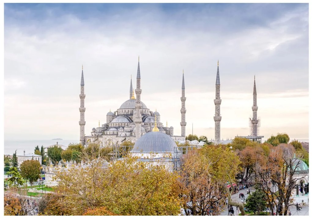 Φωτοταπετσαρία - Hagia Sophia - Istanbul 100x70