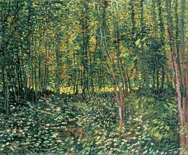 Vincent van Gogh - Εκτύπωση έργου τέχνης Trees and Undergrowth, 1887, (40 x 35 cm)