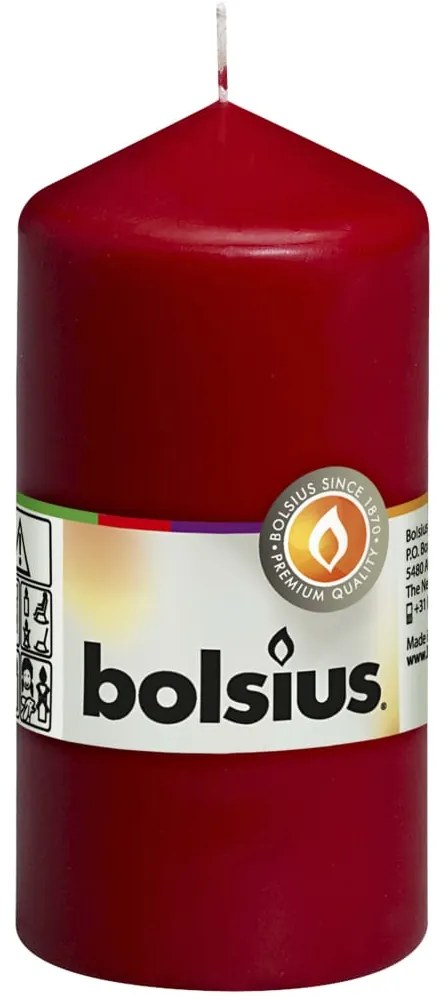 Bolsius Κεριά Κύλινδρος 10 τεμ. Μπορντό 120 x 58 χιλ.