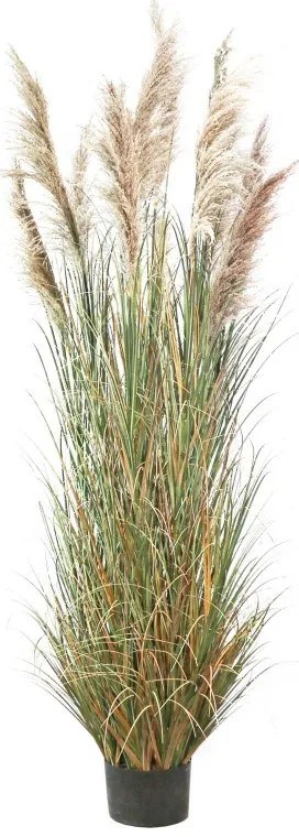 Supergreens Τεχνητο Φυτό Χορτάρι "Reed" Πράσινο 280 εκ.