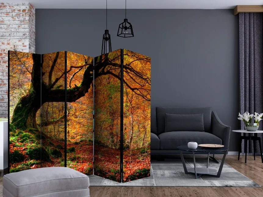 Διαχωριστικό με 5 τμήματα - Autumn, forest and leaves II [Room Dividers]