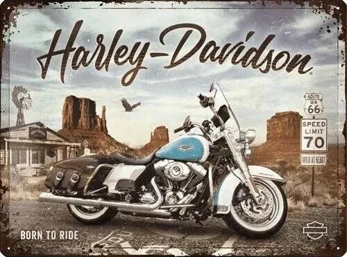 Μεταλλική πινακίδα Harley-Davidson - King of Route 66, (40 x 30 cm)