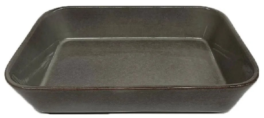 Πυρίμαχο Σκεύος Ορθογώνιο (35x25x7.5) Espiel DWPA1005
