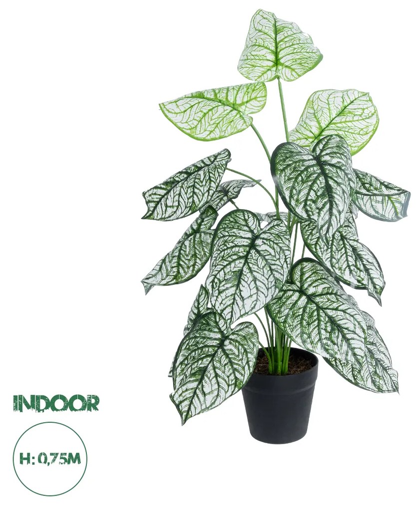 GloboStar® Artificial Garden CALADIUM 20908 Διακοσμητικό Φυτό Καλάδια Υ75cm