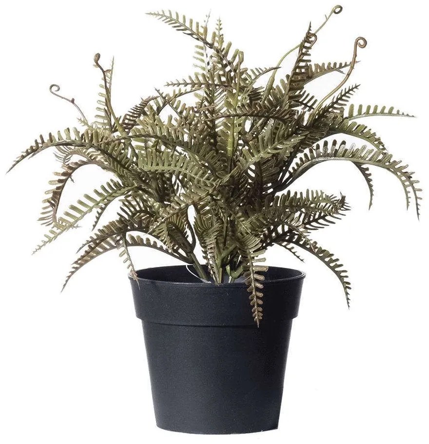 Τεχνητό Φυτό Φτέρη Boston 3160-6 24x24x23cm Green Supergreens Polyethylene