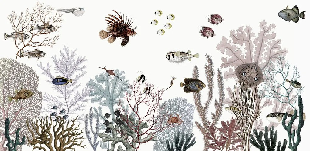 Roaring Reef Ταπετσαρια Τοιχου Λευκο Επιθυμητη Διασταση