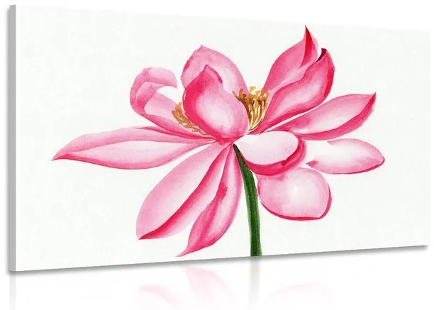 Εικόνα ακουαρέλα λουλούδι λωτού - 60x40