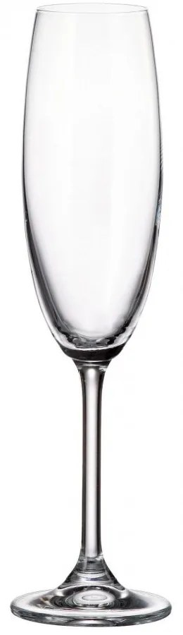 Ποτήρι Σαμπάνιας Κολωνάτο 220ml Crystal Bohemia Colibri