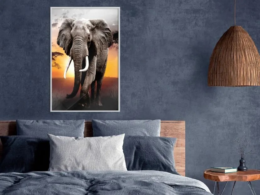 Αφίσα - Majestic Elephant - 20x30 - Χρυσό - Χωρίς πασπαρτού