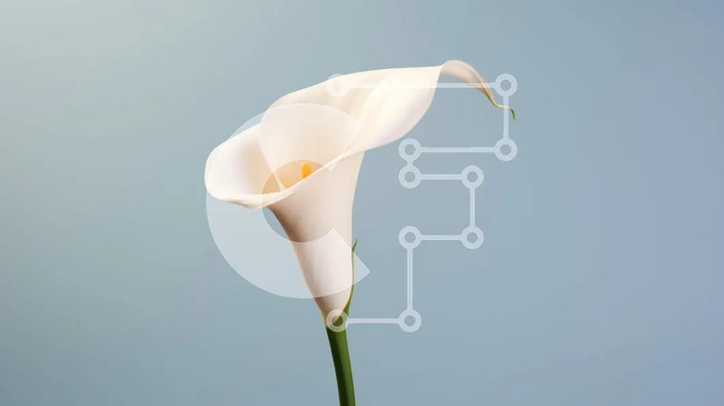 Intra Συλλεκτικό Ξύλινο Παζλ Plywood  4mm - Όμορφη White Calla Lily Σε Ξύλινο Κουτί - Διαστάσεις: 10x10 cm – 25 κομμάτια