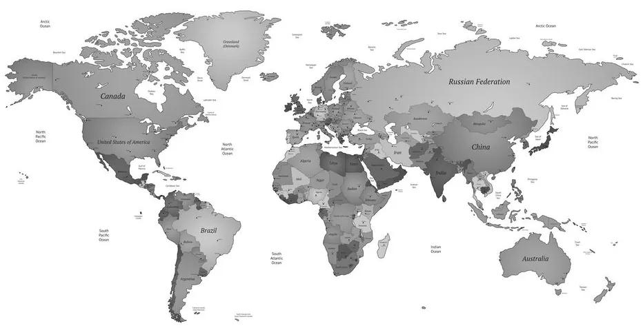 Εικόνα του παγκόσμιου χάρτη σε ασπρόμαυρα χρώματα - 90x60