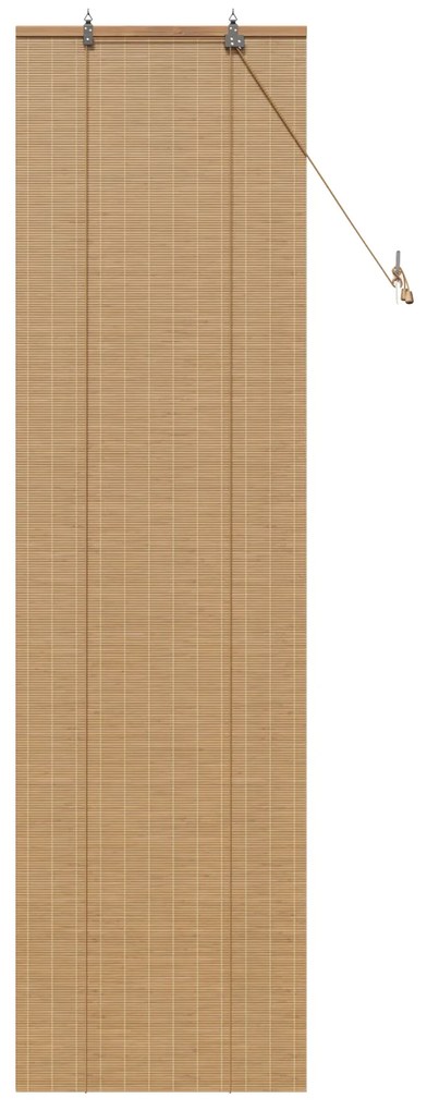 vidaXL Ρολά και Σκίες Παραθύρων Ανοιχτό καφέ 60 x 220 εκ. Μπαμπού