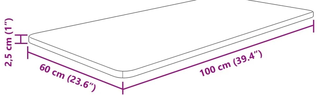 vidaXL Πάγκος Μπάνιου Σκ. Καφέ 100x60x2,5 εκ. Επεξ. Μασίφ Ξύλο