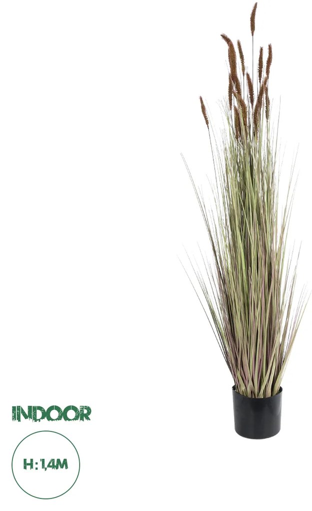 GloboStar® Artificial Garden BROWN LAGURUS 21101 Διακοσμητικό Φυτό Καφέ Λαγοουρά Υ140cm