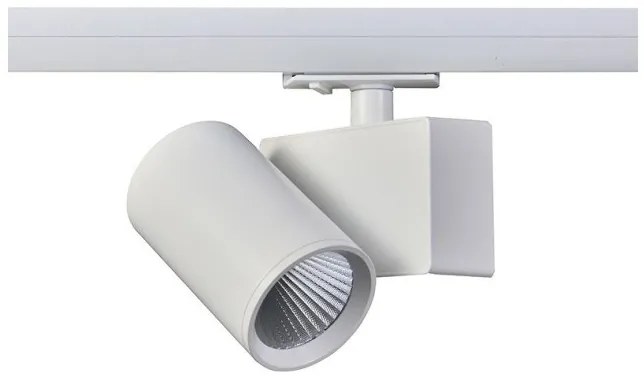 Σποτ Ράγας Μονοφασικό LED 20W 4000Κ Ρυθμιζόμενο Lisor Aca-LISOR2040W2N-Λευκό LISOR2040W2N